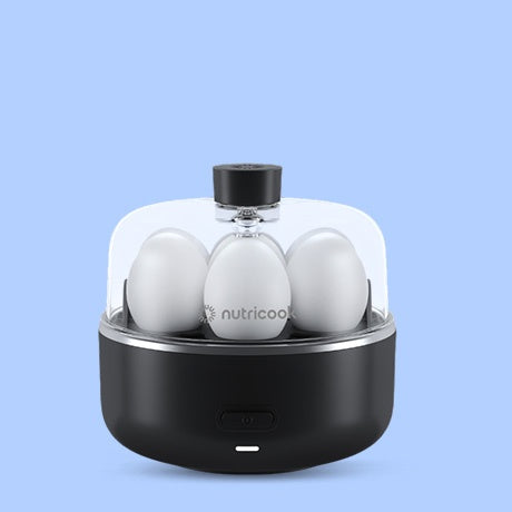 Egg Boiler in Pakistan